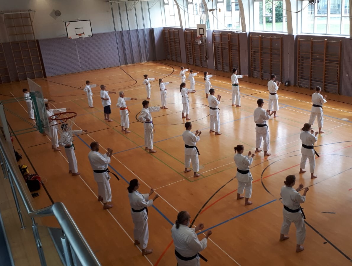 Karateka in Reihen beim Training in der Turnhalle Schwaz