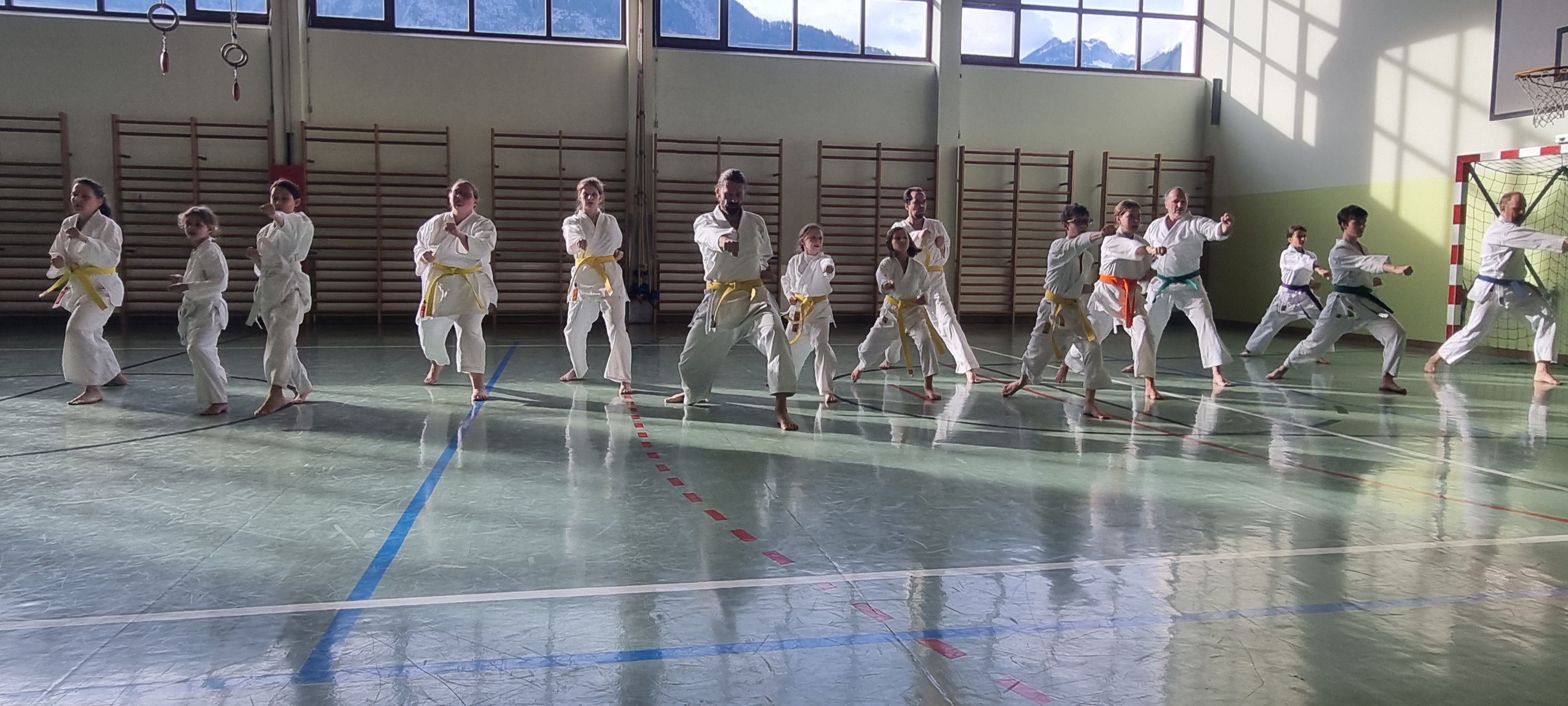 Karategruppe in Grundstellung beim Training, im Hintergrund die Tiroler Berge